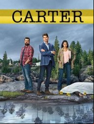 Carter saison 1